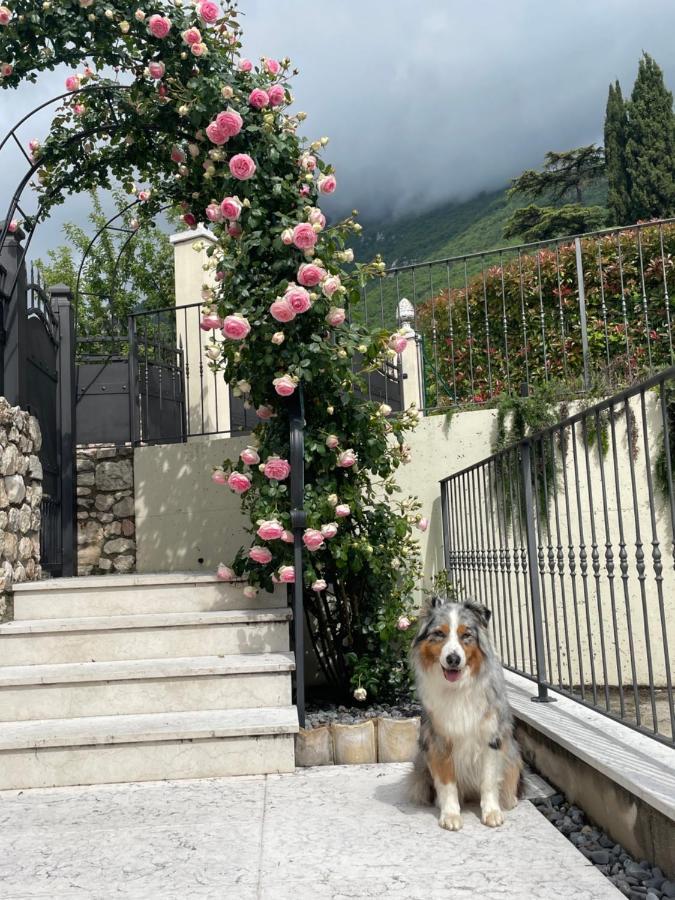 Corte Caiar Bed&Breakfast Caprino Veronese Buitenkant foto