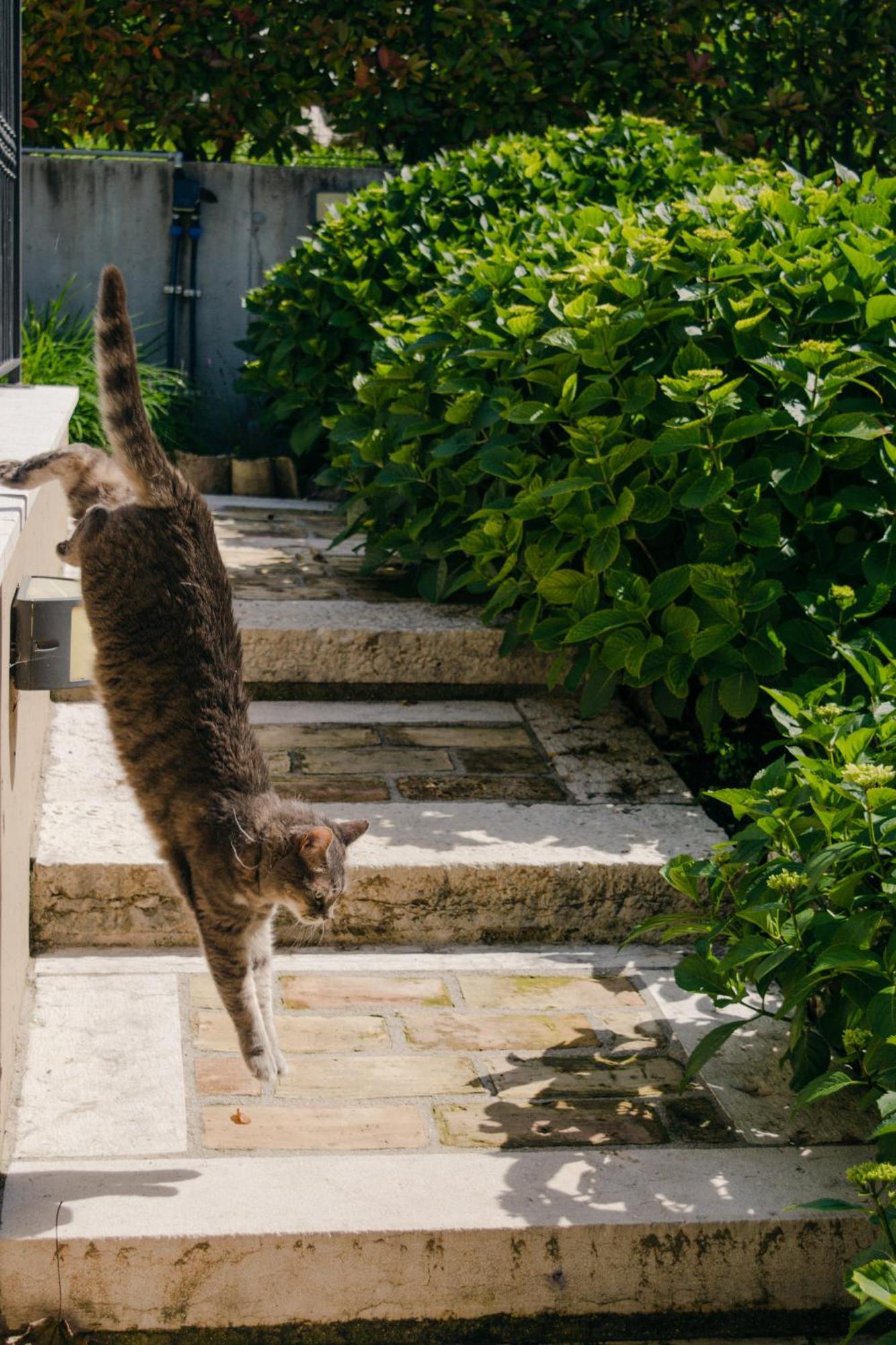 Corte Caiar Bed&Breakfast Caprino Veronese Buitenkant foto
